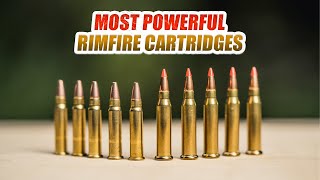 5 Most Powerful Rimfire Cartridges in the World [upl. by Ivets]