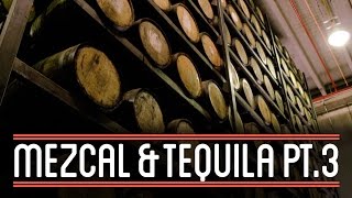 Fermenting amp Distilling Tequila 33  How to Brew Everything Mezcal and Tequila [upl. by Manuela]