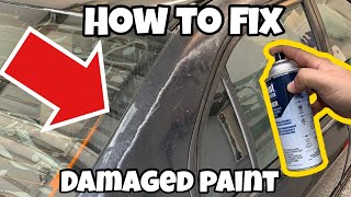 The CHEAPEST Way to Permanently Fix Peeling Paint [upl. by Adeehsar]