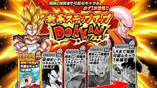 2700 STONES NEW YEAR STEPUP DOKKAN FESTIVAL BANNER SUMMONS Dragon Ball Z Dokkan Battle [upl. by Eibbob]