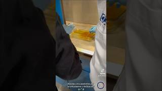 📢 ¡Éxito en el Curso de Corrosión Acelerada 🧪 [upl. by Llednol944]