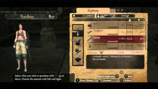 Dragons Dogma  Early Infinite Gold [upl. by Erlina]