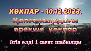 Сарыбаевтар әулеті Ыбырай қажы көкеміздің елден бата алу той көкпары 10122023 [upl. by Nowd]