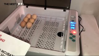 couveuse maison pour œufs de poule How to make egg incubator at Home [upl. by Niple]