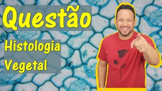 Histologia vegetal  Questão  Tecidos Vegetais  Botânica [upl. by Anilra]