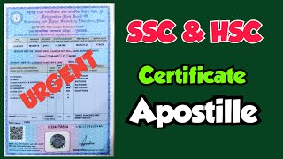 HSC SSC CERTIFICATE APOSTILLE PROCEDURE apostilleservices apostille apostilleindia esanad mea [upl. by Dwinnell]