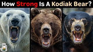 How Strong is a Kodiak Bear Compared to Other Bears [upl. by Ebanreb]