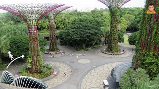 Walking Tour From Cloud Forest To Supertree Grove  Gardens By The Bay  Singapore  Walking Tour HD [upl. by Ahsauqal921]