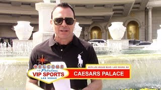 Steve Stevens  Sportsbook Review  Caesars Palace Las Vegas [upl. by Semmes]