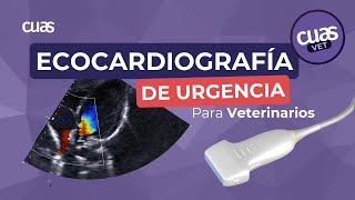 Ecocardiografía de Urgencia para Veterinarios Todo lo que necesitas saber [upl. by Nilde]