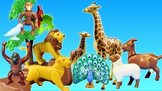 Animal Sounds Names for Kids Children Kindergarten Preschoolers Toddlers Animals Sound Effects [upl. by Wandy178]