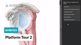 AMBOSS Platform Tour  Part 2 [upl. by Egon]