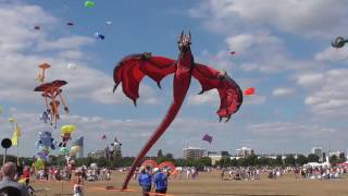 HUGE DRAGON KITE [upl. by Ayitahs888]