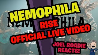 NEMOPHILA  RISE Official Live Video  Roadie Reacts [upl. by Ryon927]