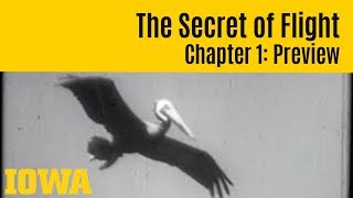 The Secret of Flight 1 Preview [upl. by Vanny]