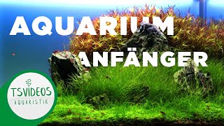 Aquaristik für Anfänger 2  Was brauche ich als Anfänger [upl. by Yk]