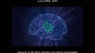 Clone 3A1 aggregatepreferring antibody for amyloid beta [upl. by Nail108]