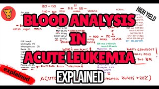 Blood analysis in ACUTE LEUKEMIA Explained Algorithm [upl. by Kam]