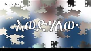 Samuel Nigusse እወድሃለሁ Ewedihalew new song 2015 [upl. by Enywad]