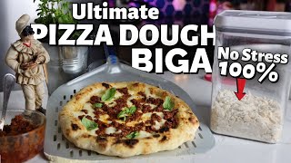 How to Make Perfect Biga No Stress Pizza Dough at Home 100 [upl. by Weasner]