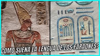 💥Clase gratis de Jeroglíficos 👉 los nombres de Ramsés III [upl. by Elmo693]