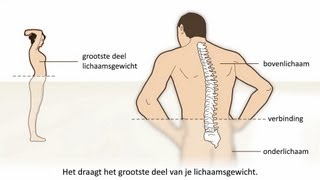 Lage rugpijn  Soorten en oorzaak [upl. by Ontina]