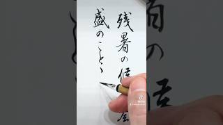 【美文字レッスン】秋の手紙の書き方 実用小筆 きれいな字を書きたい japanesecalligraphy 書道 書道教室 手紙 calligraphy calligraphyart [upl. by Bowerman144]