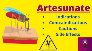 ArtesunateCamoquinFalcigo 60mg120mg  Indications Contraindications Caution and Side Effects [upl. by Lupita]