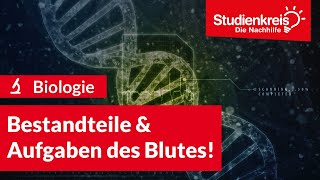 Bestandteile amp Aufgaben des Blutes  Biologie verstehen mit dem Studienkreis [upl. by Cowles]