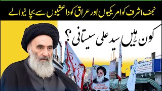 Biography of Ayatollah SistaniWho is Iraqi grand religious authority Ali Sistaniسید علی سیستانی کو [upl. by Gnidleif480]