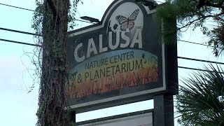 3 released from hospital after mercury exposure incident at Calusa Nature Center amp Planetarium [upl. by Justen]