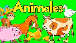 Sonidos de Animales para bebes  Aprende los Animales  Videos para Ninos  SuperDivertido [upl. by Welcher]