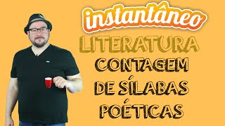 Contagem de Sílabas Poéticas  Literatura  Pedro Gonzaga  Instantâneo [upl. by Kersten]