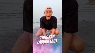 Tangkap Labubu Laut 🏝️ [upl. by Timon]