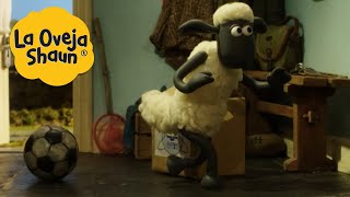 La Oveja Shaun 🐑 Oveja astuta 🐑 Dibujos animados para niños [upl. by Liw]