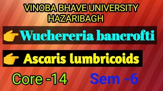 Wuchereria bancroftiAscaris lumbricoidsBSc 3rd yearwith proper notes [upl. by Jemmie]