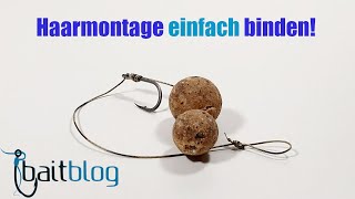 Haarmontage EINFACH selber binden HairRig zum Karpfenangeln [upl. by Dlarrej]