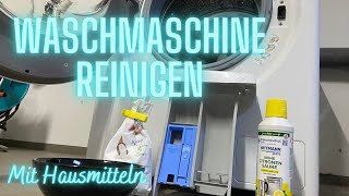 Waschmaschine putzen mit Hausmitteln  Hygienische Reinigung in wenigen Minuten [upl. by Ahsirek640]