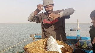 mangrove fishing part 2  Karachi Pakistan hand line fishing Shakeelfishingfun [upl. by Vicky667]