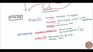 Hypercalcemia for USMLE Step 1 and USMLE Step 2 [upl. by Bette-Ann]