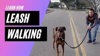 Learn when to let your leash reactive dog smell and pee during walking [upl. by Lav]