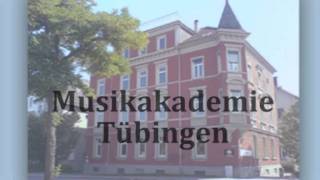 Ein Interview des Professors der Musikakademie Tübingen Wei TsinFu [upl. by Carree]