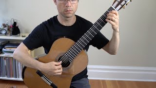 Packingtons Pound Renaissance  Easy Classical Guitar [upl. by Imtiaz]