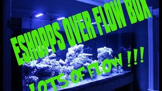 Eshopps Overflow Eclipse Large install and review on the Phoenix 700 reef tank [upl. by Dej739]