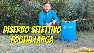 Diserbo selettivo foglia larga quando farlo [upl. by Ragan926]