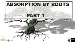 Absorption by Roots  ICSE Class 10th BiologyPart 1 [upl. by Moguel86]