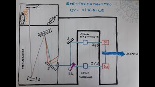 Introduzione alla spettroscopia di assorbimento UVvis lo spettrofotometro [upl. by Brod51]