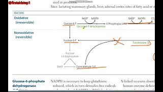 Pentose phosphate pathway  Pentoza fosfat yoli [upl. by Thisbee]