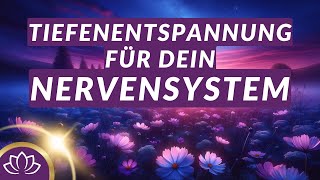 Einschlafmeditation zum Beruhigen des Nervensystems ✨ mit heilsamen 528Hz Frequenzen amp Schlussmantra [upl. by Costello]