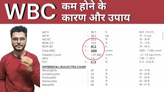 Low WBC count होने का कारण इलाज  Low WBC count in blood report  Leukopenia  Low WBC causes [upl. by Wiese586]